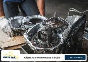 Alfaris - Maintenance and Prevention Tips